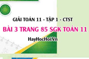 Giải bài 3 trang 85 Toán 11 tập 1 SGK Chân trời sáng tạo